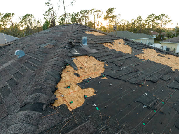 Reliable Duryea, PA Roofing Solutions