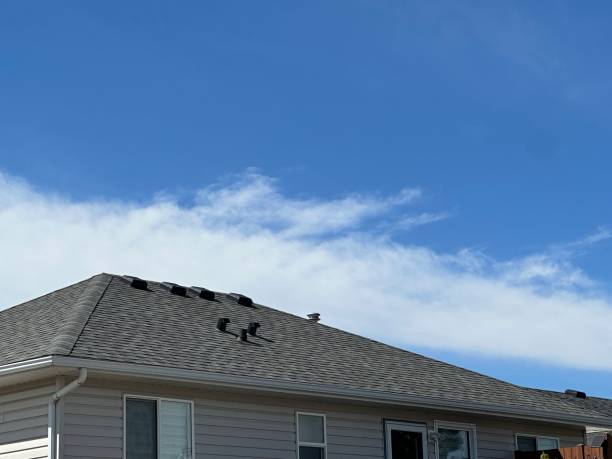 Best Chimney Flashing Repair  in Duryea, PA